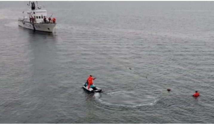 Intensa búsqueda en el mar de Puerto Madryn: una joven de 23 años desapareció durante un bautismo de buceo