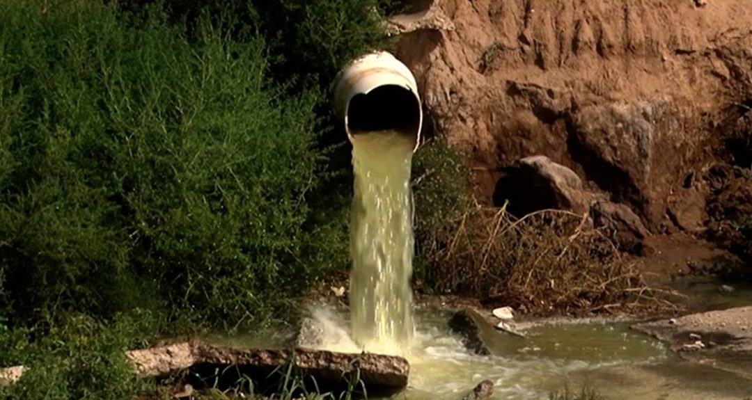 “No se puede vivir así”: vecinos denuncian una cloaca a cielo abierto en el canal Maldonado