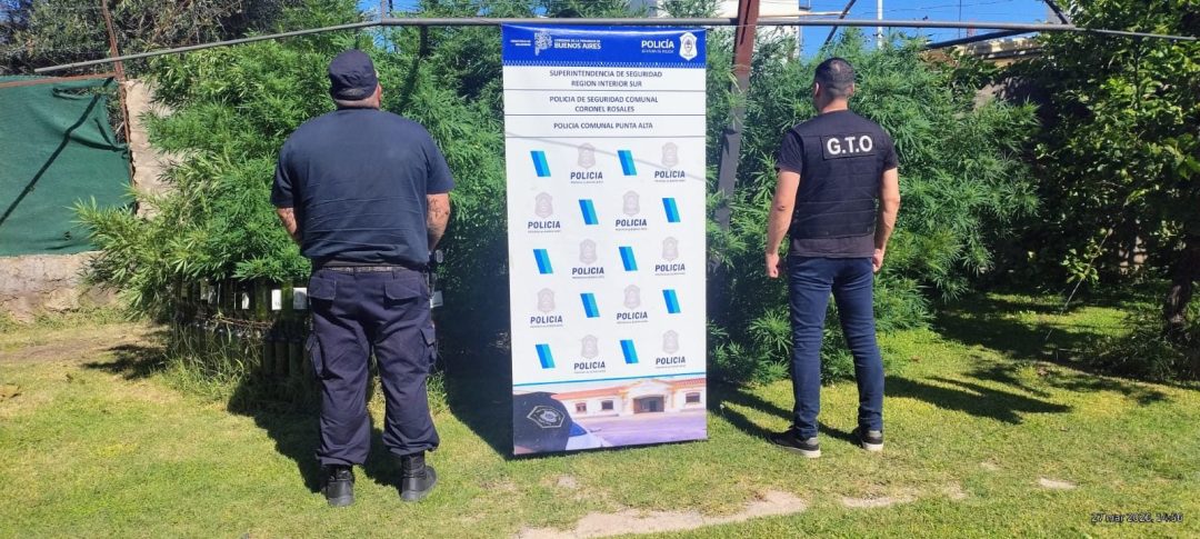 Allanamiento por violencia familiar derivó en el secuestro de droga y un arma