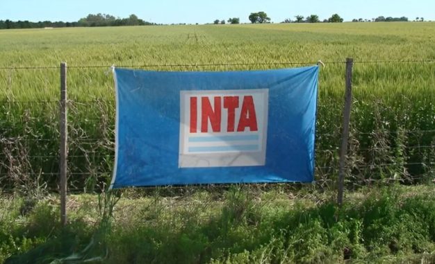 Avanza el ajuste en el INTA: cierra la agnecia de Mayor Buratovich