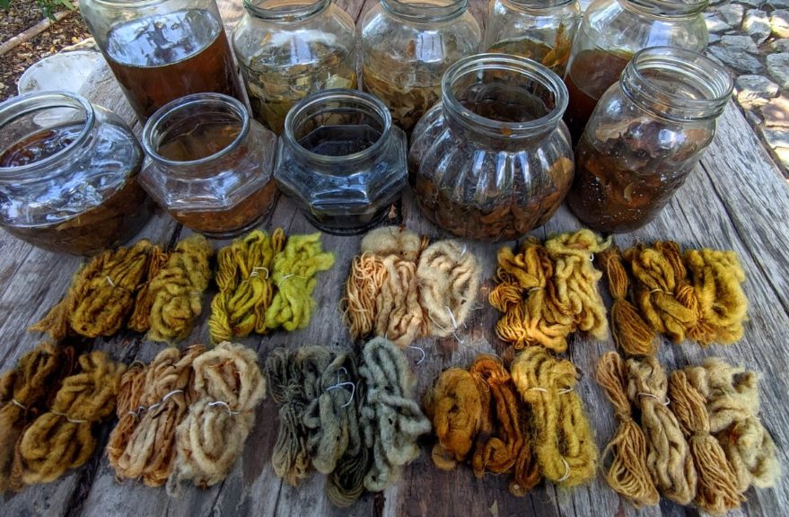 Taller de Tintes Naturales e Impresión Botánica