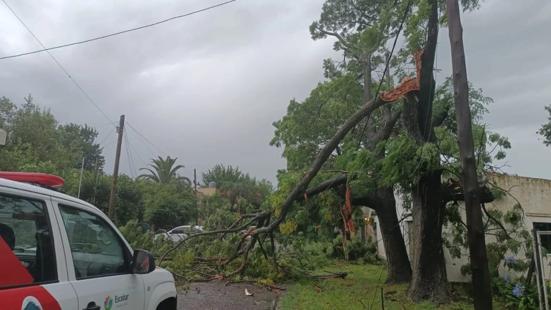 temporal buenos aires amba ramas viento lluvia temporal buenos aires amba ramas viento lluvia