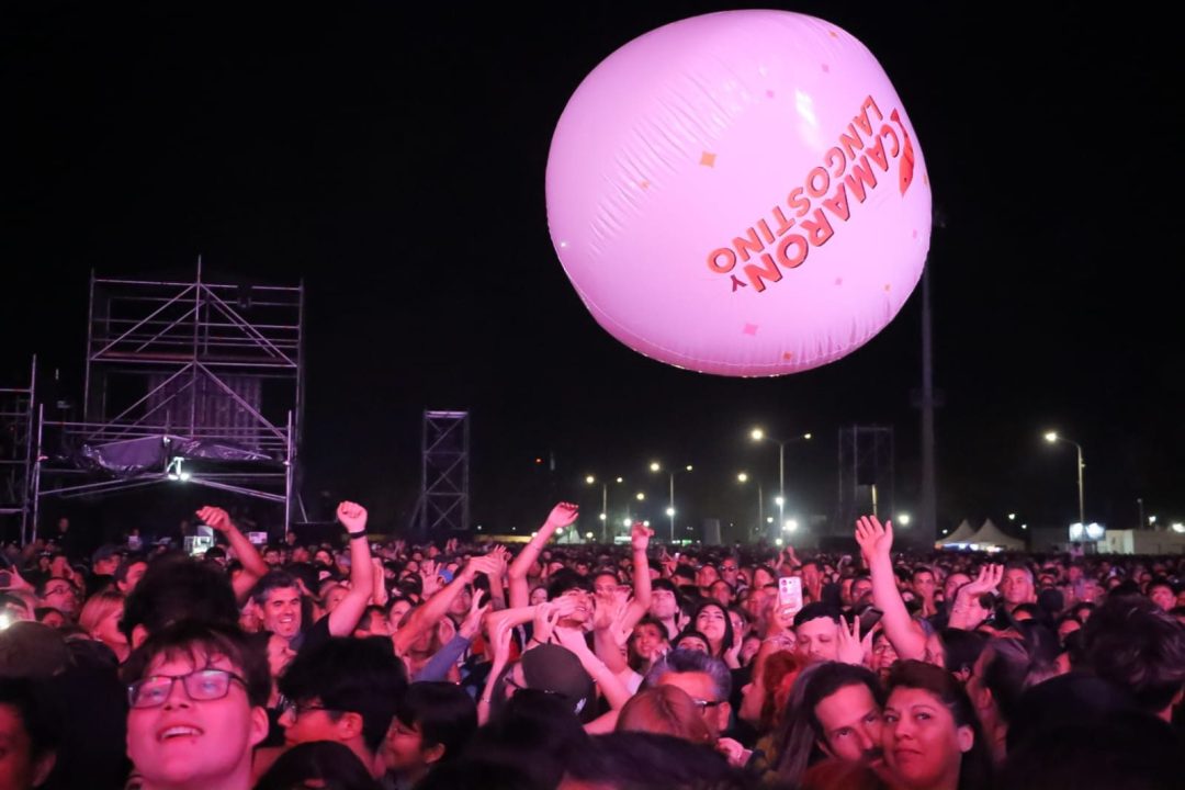 FIESTA CAMARON ANGOSTINO FIESTA CAMARON ANGOSTINO