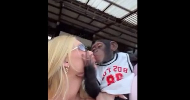 Video: la exnovia de Vinícius visitó un zoológico, besó a un mono en la boca y desató una polémica en Brasil