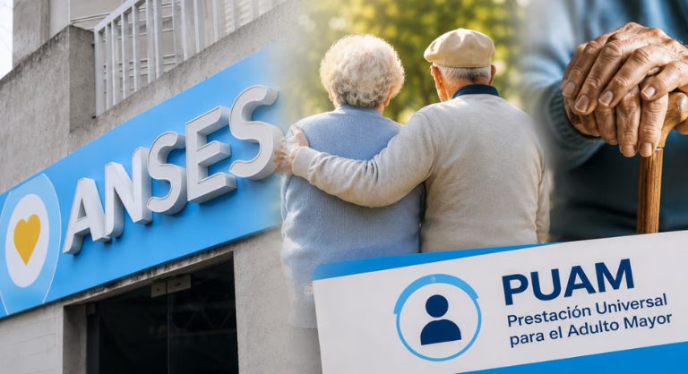 Aguinaldo de ANSES en junio: cómo se calcula el pago para las Pensiones No Contributivas y la PUAM