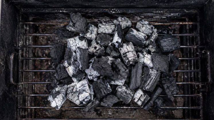 Si te sobró carbón del asado, no lo tires: cómo reutilizarlo en la tierra de tus plantas y qué beneficios tiene