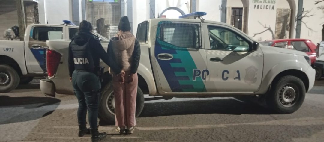 Detuvieron a una mujer que robó un televisor de una casa: el cómplice está prófugo