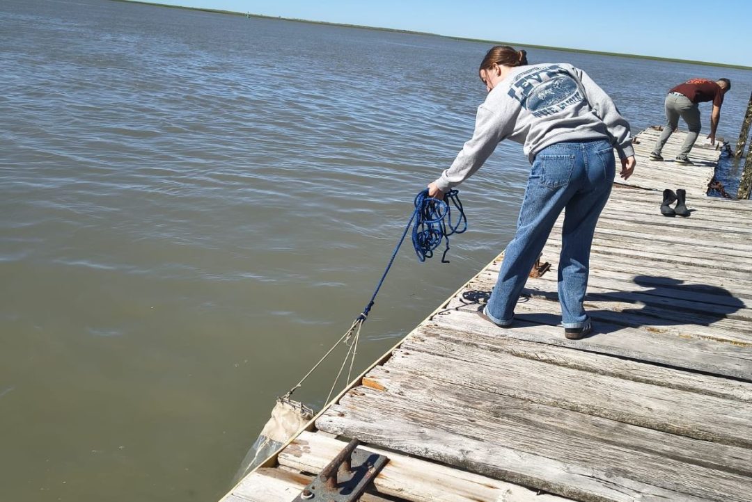 Para cuidar el mar: financian un proyecto del sudoeste bonaerense para proteger la costa y mejorar su gestión