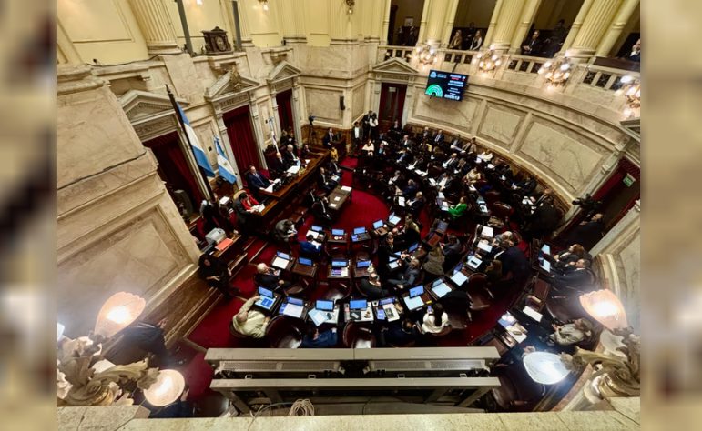 El oficialismo consiguió la media sanción de la Ley de Propiedad Privada, pero tuvo que retirar el capítulo sobre manejo del fuego