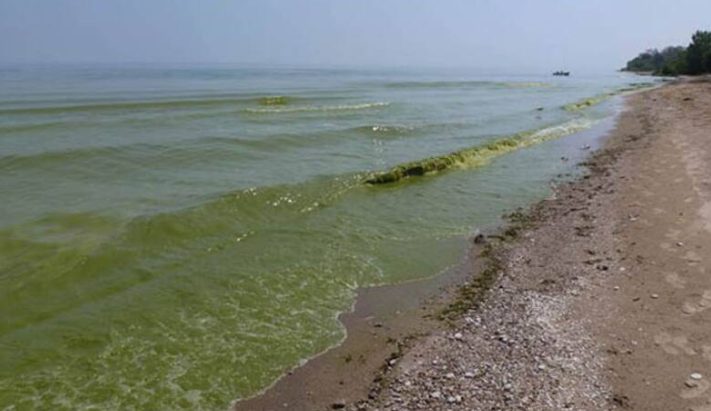 Alerta naranja roja por cianobacterias en playas bonaerenses, entre ellas Monte Hermoso