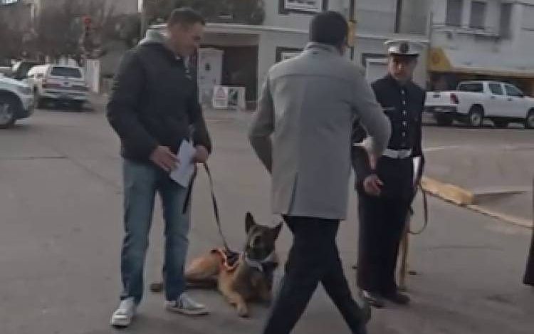 Fueron reconocidos los perros de guerra de la Base Naval Puerto Blegrano por su ayuda humanitaria en Venezuela